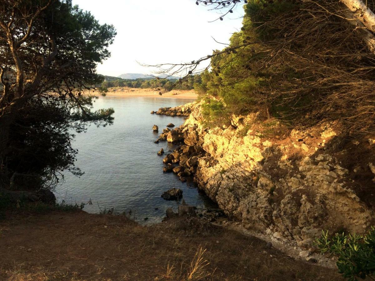 Apartament El Niuet L' Escala